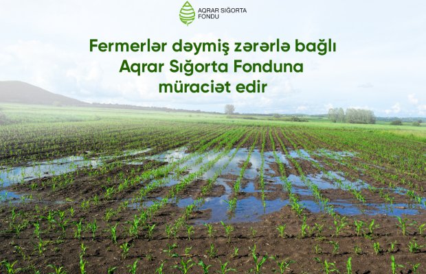 seyahet icbari əmlak