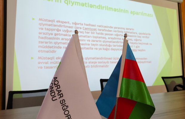 seyahet icbari əmlak
